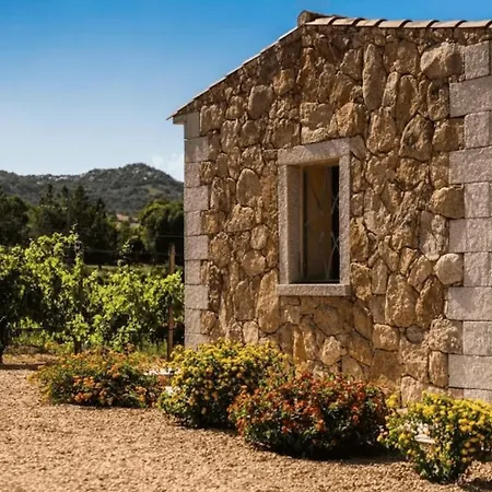 Séjour à la ferme In Vigna *